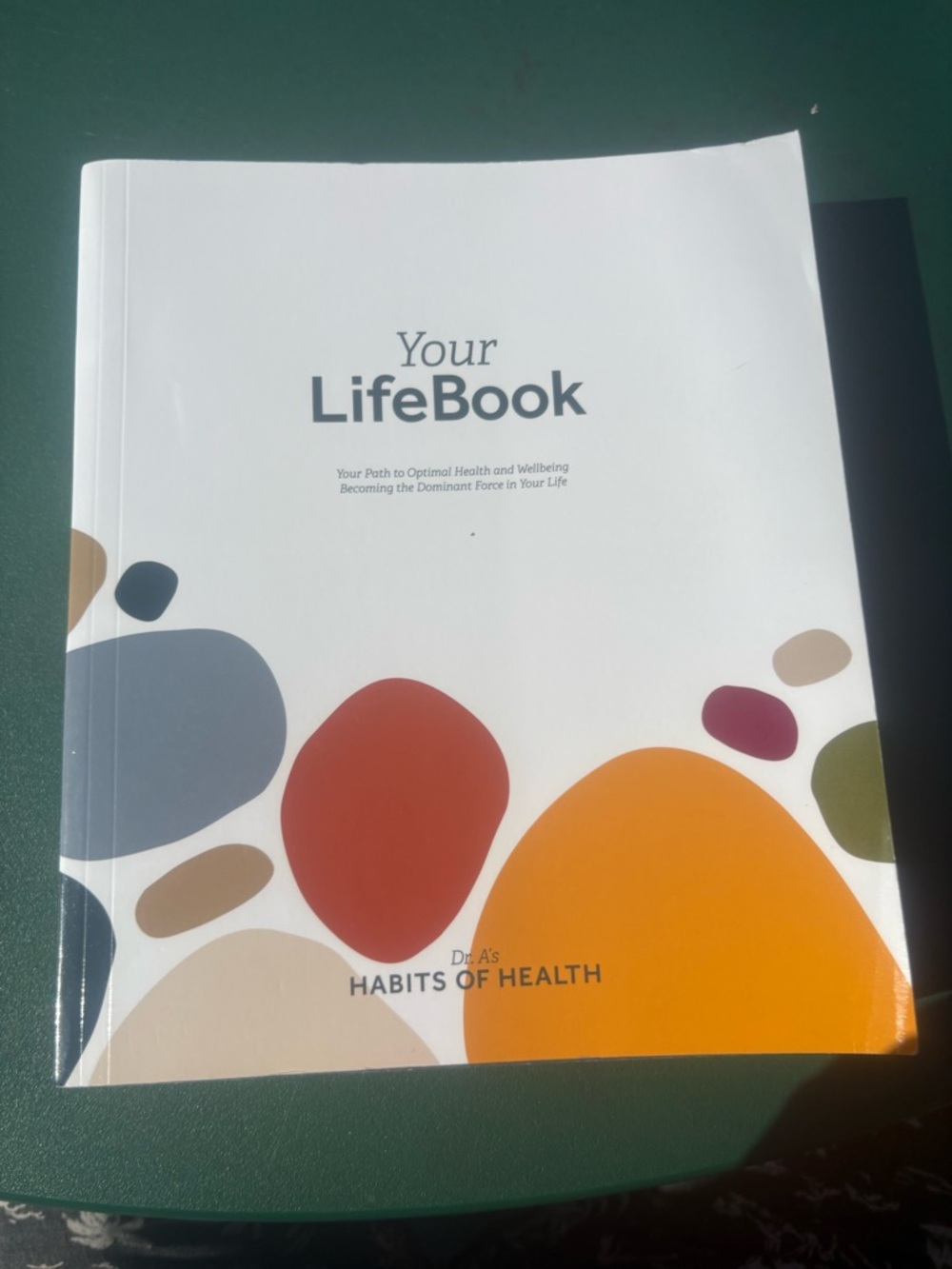 Your LifeBook Wayne Scott Andersen Trade Paperback Habits of Health Press 2019